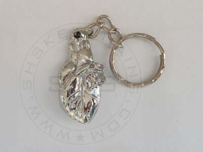 Keychain - The 3D Human Heart
