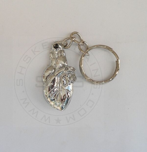 Keychain - The 3D Human Heart