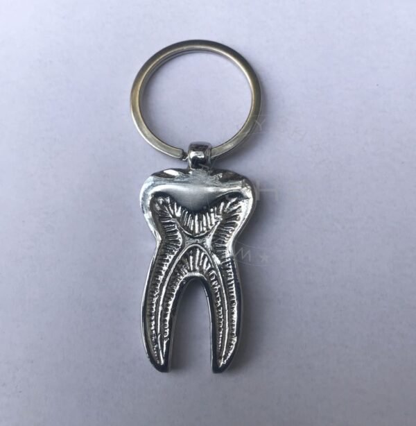 Large Tooth Keychain Silver Plated - Image 2