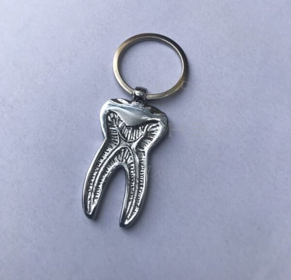 Large Tooth Keychain Silver Plated - Image 4