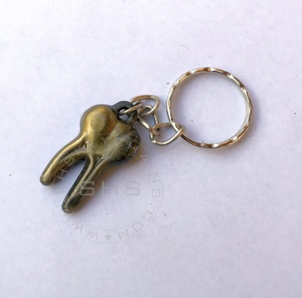 Small Molar Shaped keychain Two Roots - Image 4