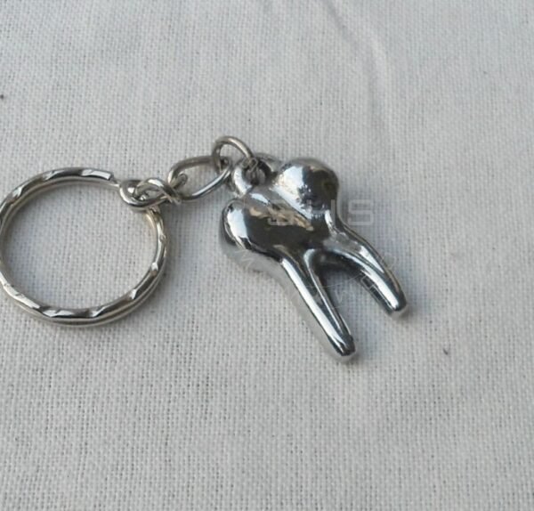 Small Molar Shaped keychain Two Roots - Image 3