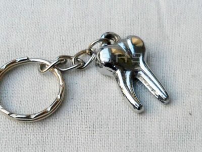 Small Molar Shaped keychain Two Roots