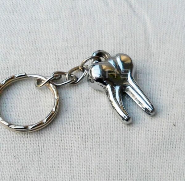 Small Molar Shaped keychain Two Roots