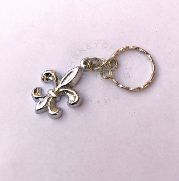 Fleur-De-Lis Antique Keychain - Image 4