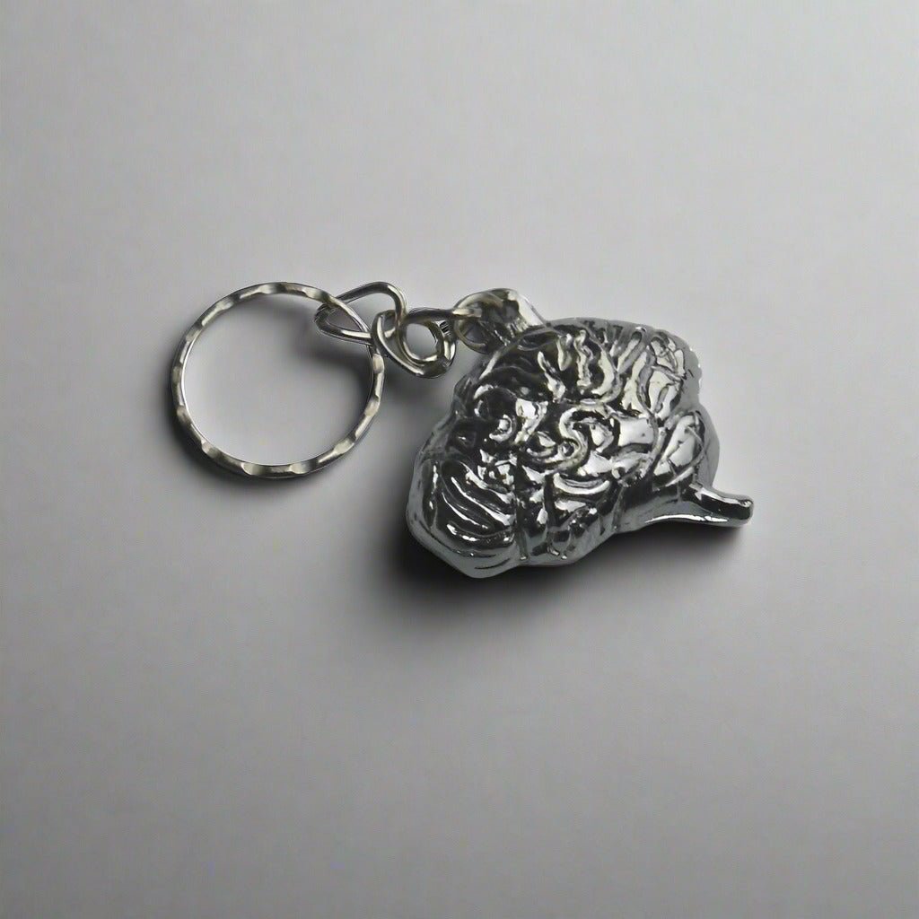 human-brain-keyring - AM Surgicals | Dental Instruments