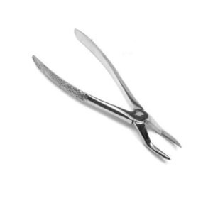 Extracting Forceps  No. 10