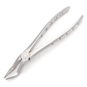 Extracting Forceps 51- GL-01