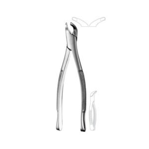 Extracting Forceps Pre-Molar - American