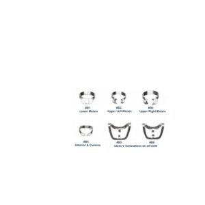 Dental chart labeling six tooth areas B1–B6: B1 lower molars, B2 upper left molars, B3 upper right molars, B4 anterior & canines, B5 class V restorations on all teeth, B6 (restorations on all teeth).
