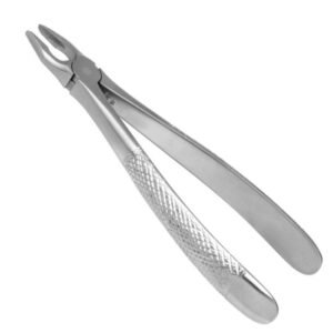 Extracting Forceps  No. 2