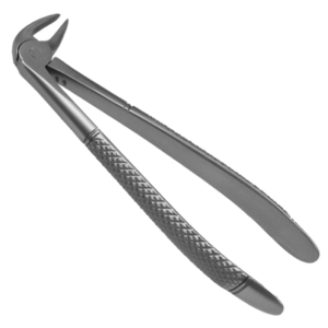 Extracting Forceps  No. 33A