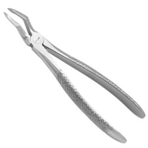 Extracting Forceps  No. 51E