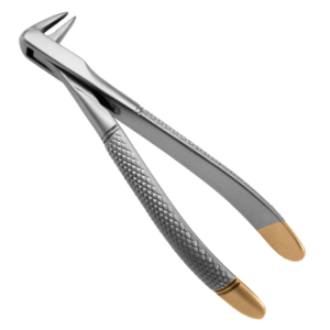 Extracting Forceps  No. 605